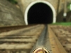 snail2