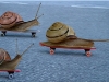 snail4