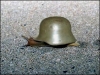 snail8